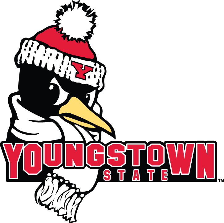 Youngstown State Penguins 2006-Pres Secondary Logo vinyl decal